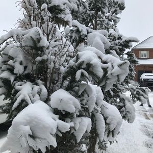 Meet your Posher, Maggie